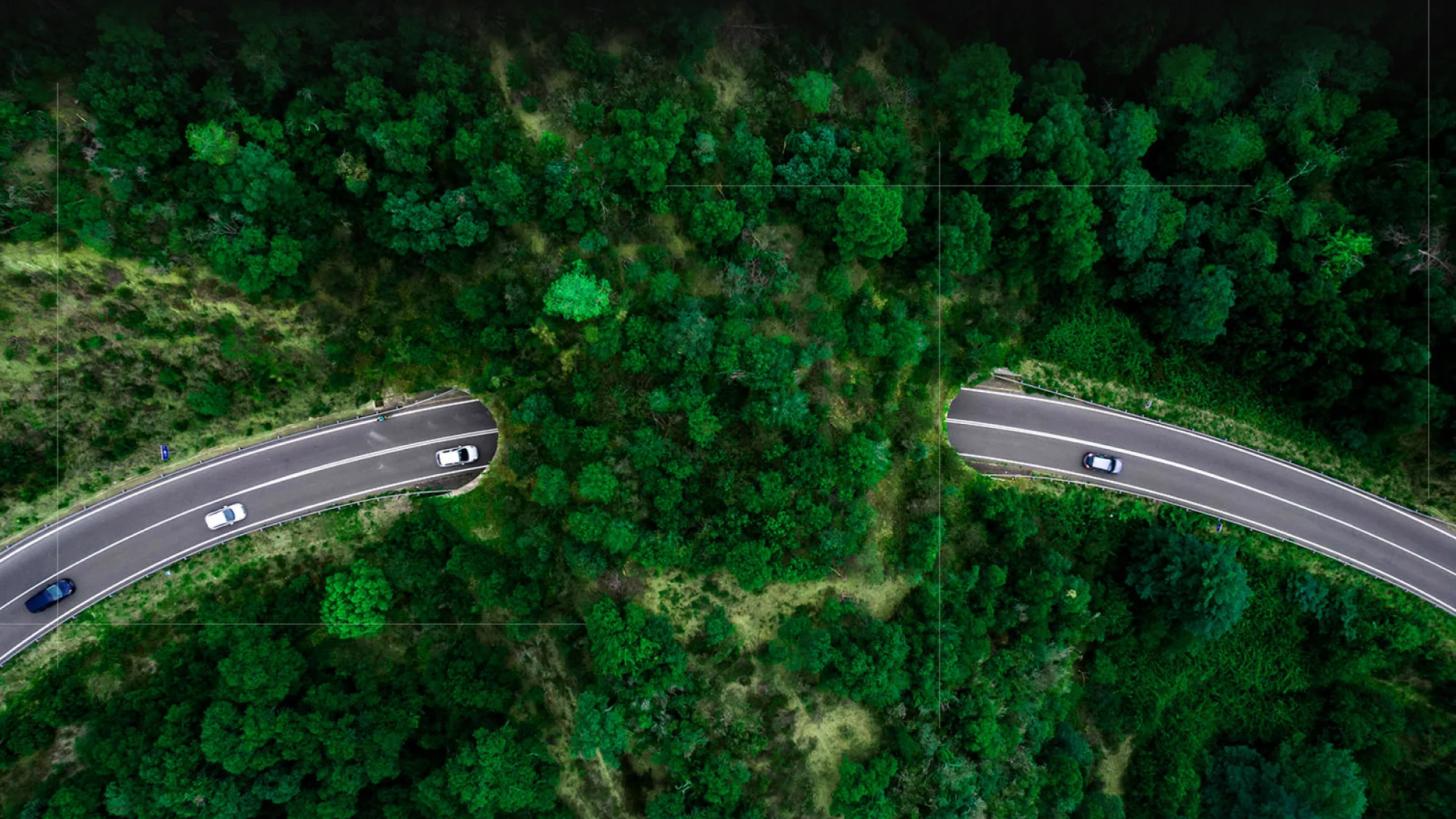 Vista aérea de una carretera atravesando un bosque denso